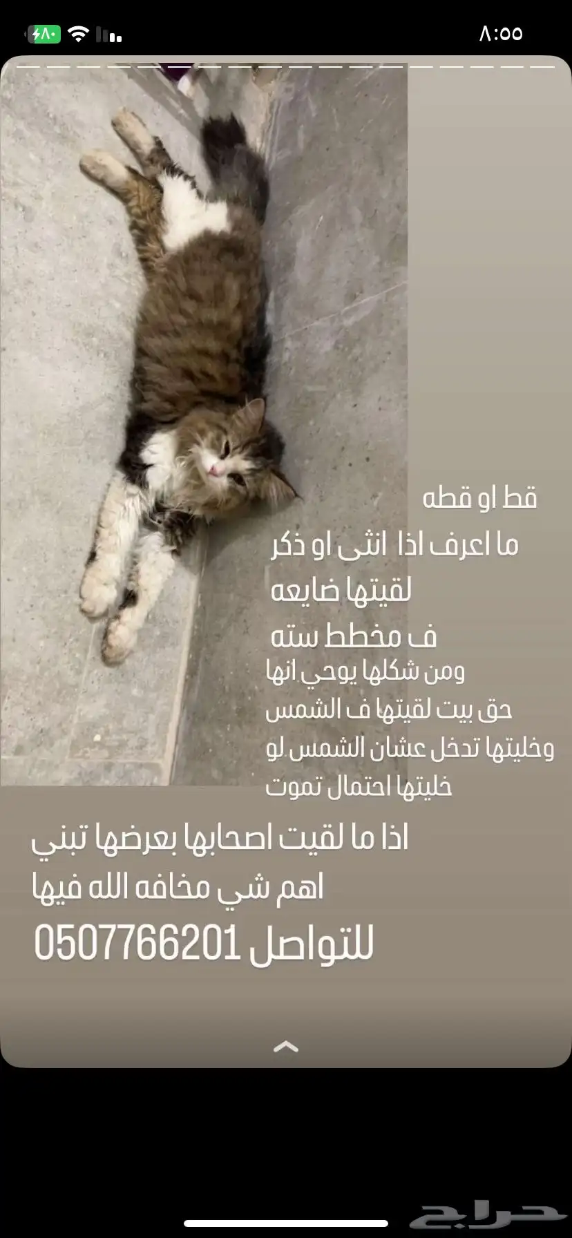 للتبني 0