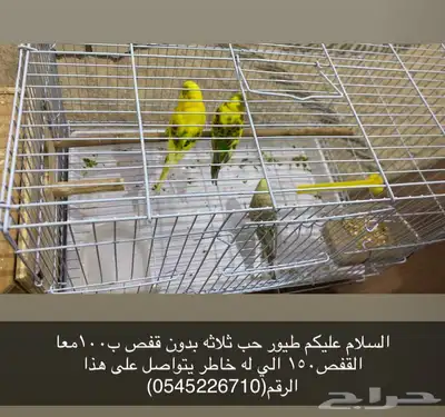 ضاحيه الملك فهد 0
