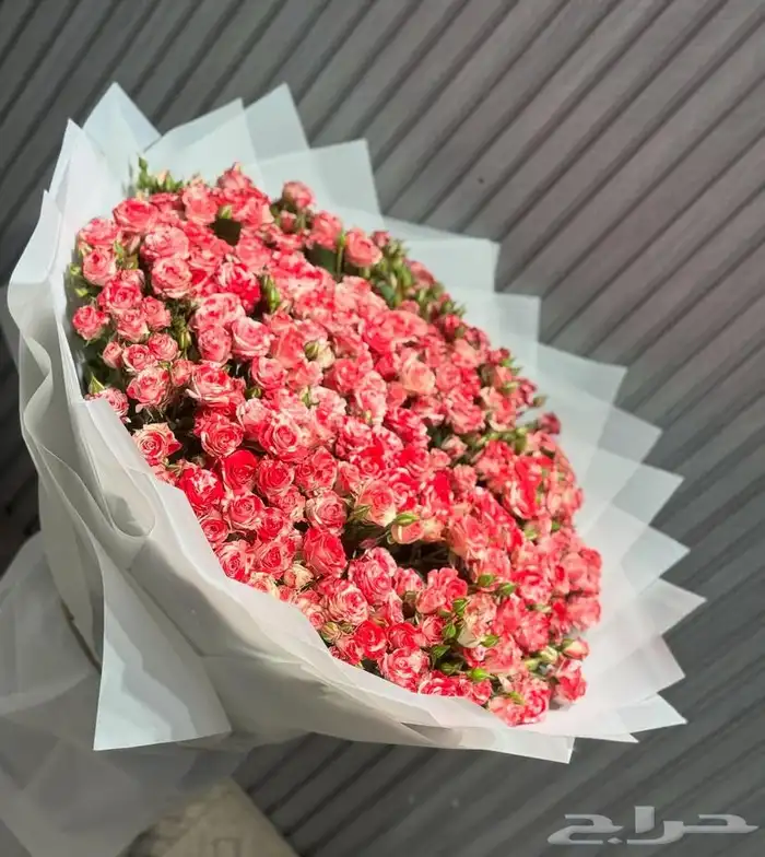 هدايا خميس مشيط ابها 20