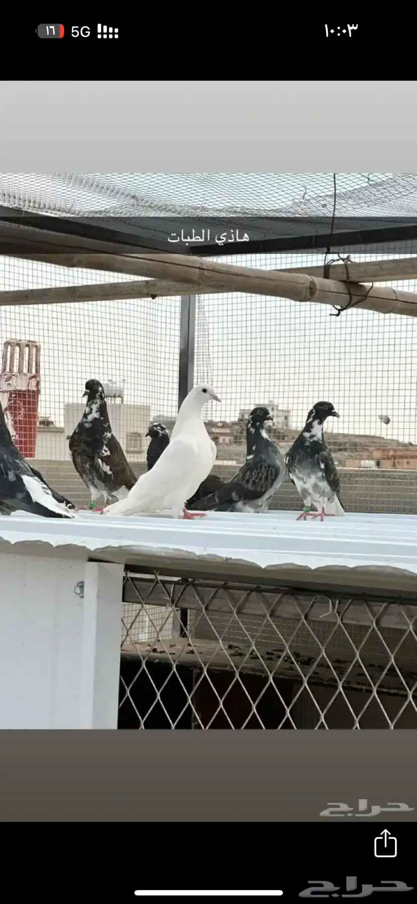 السلام عليكم للبيع حمام سكاي كتر 2