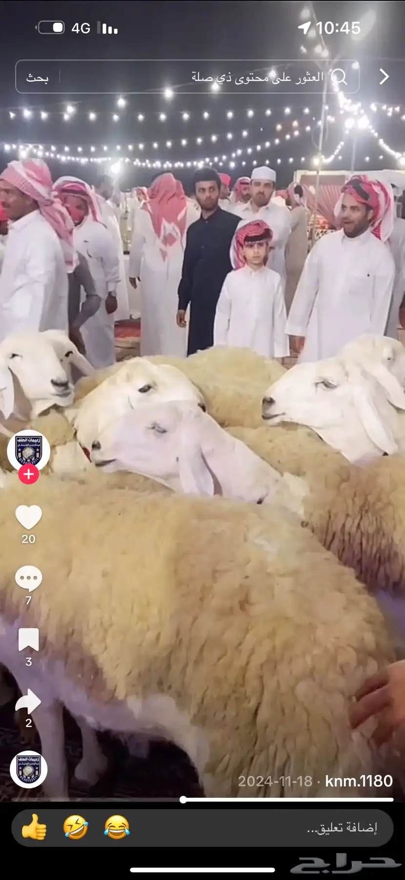 خروف حري صنف بيع مستعجل 6