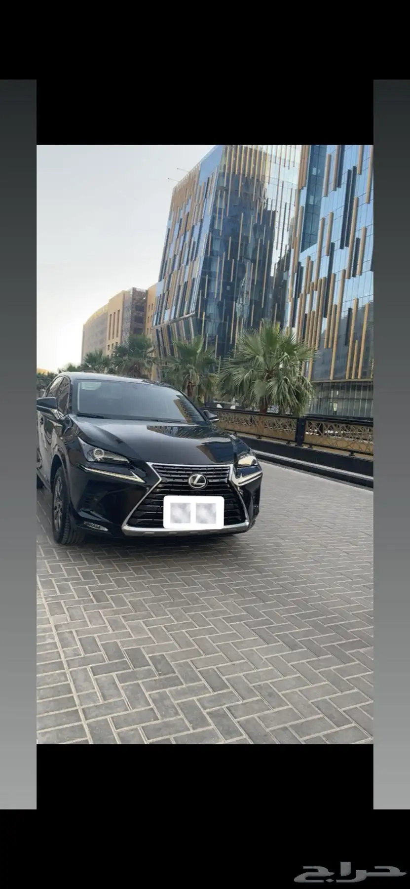 لكزس NX للتنازل فئة AA موديل 2021 1