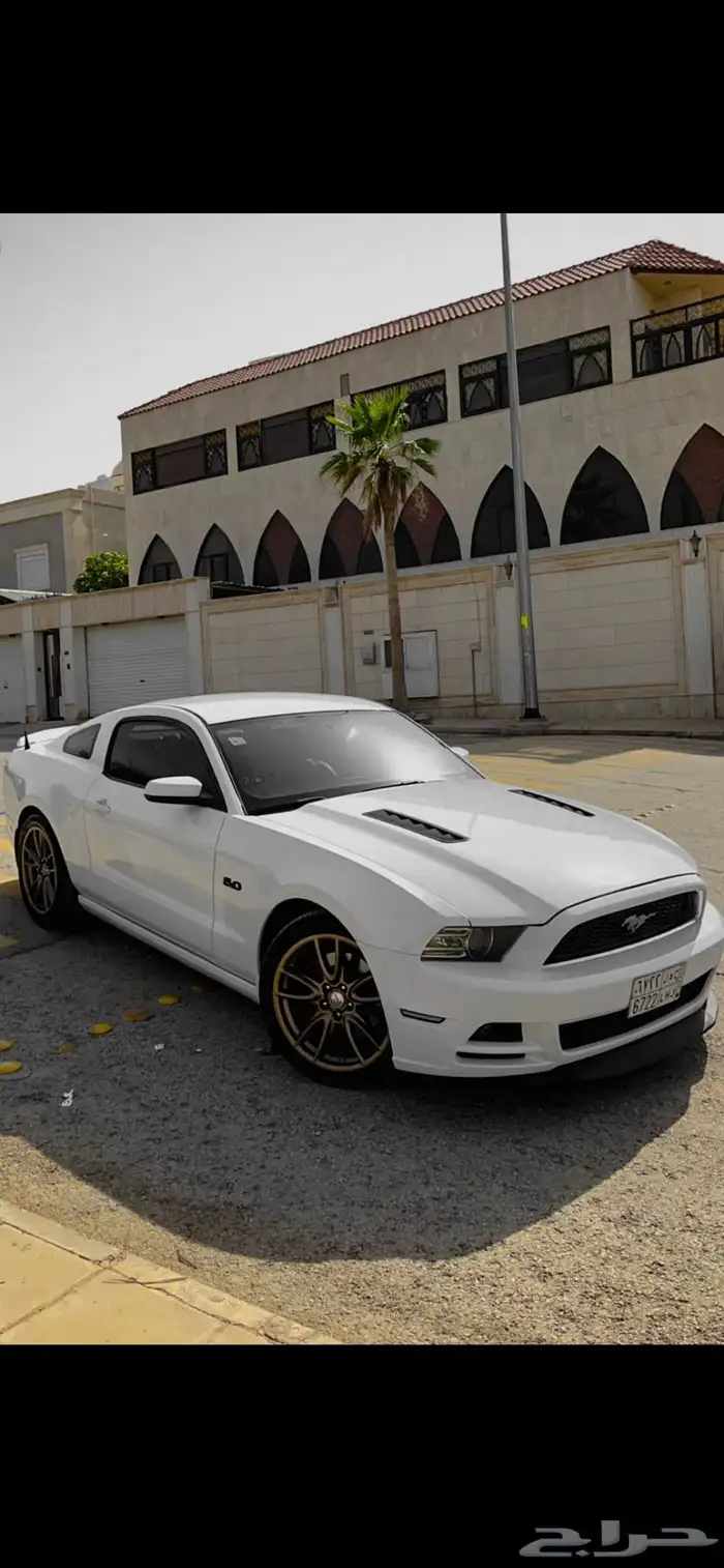 موستنج gt 2014 5.0 اوتو 0
