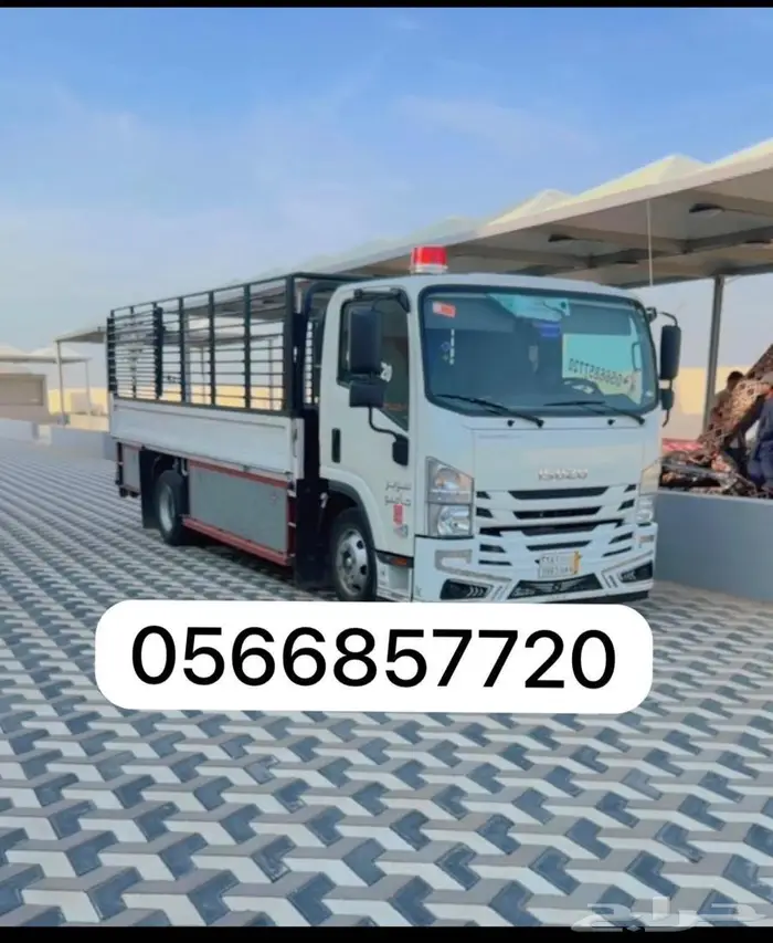 دينا نقل عفش دينه توصيل البضايع والاثاث دنه داخل المدينه 0