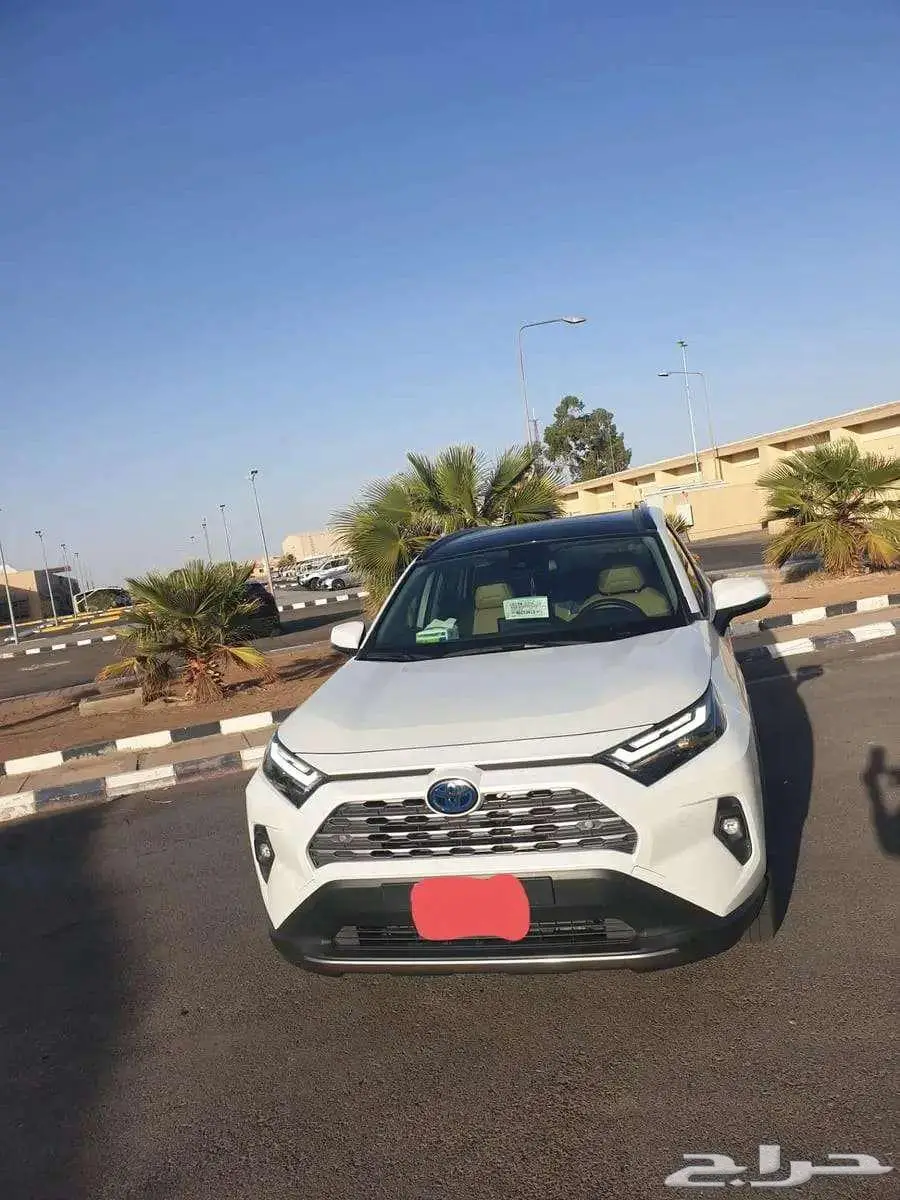 راف فور LTD2025 2