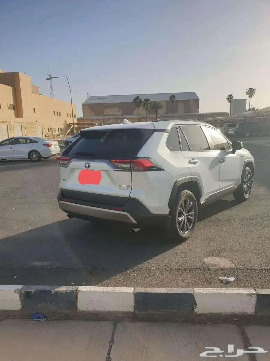 راف فور LTD2025 3