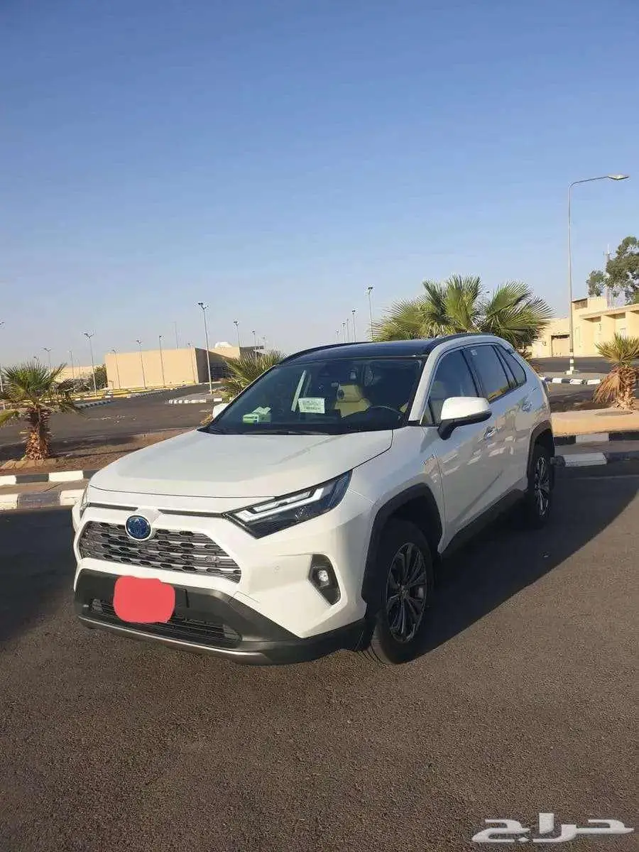 راف فور LTD2025 1