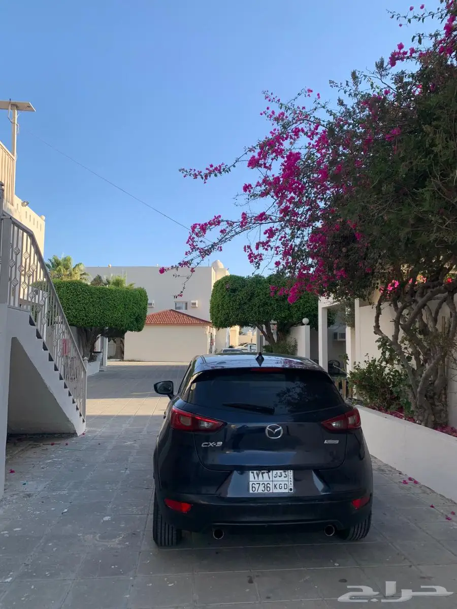 مازده cx3 11
