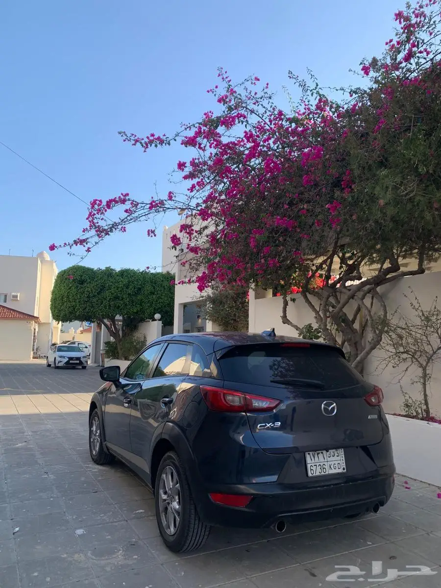 مازده cx3 14