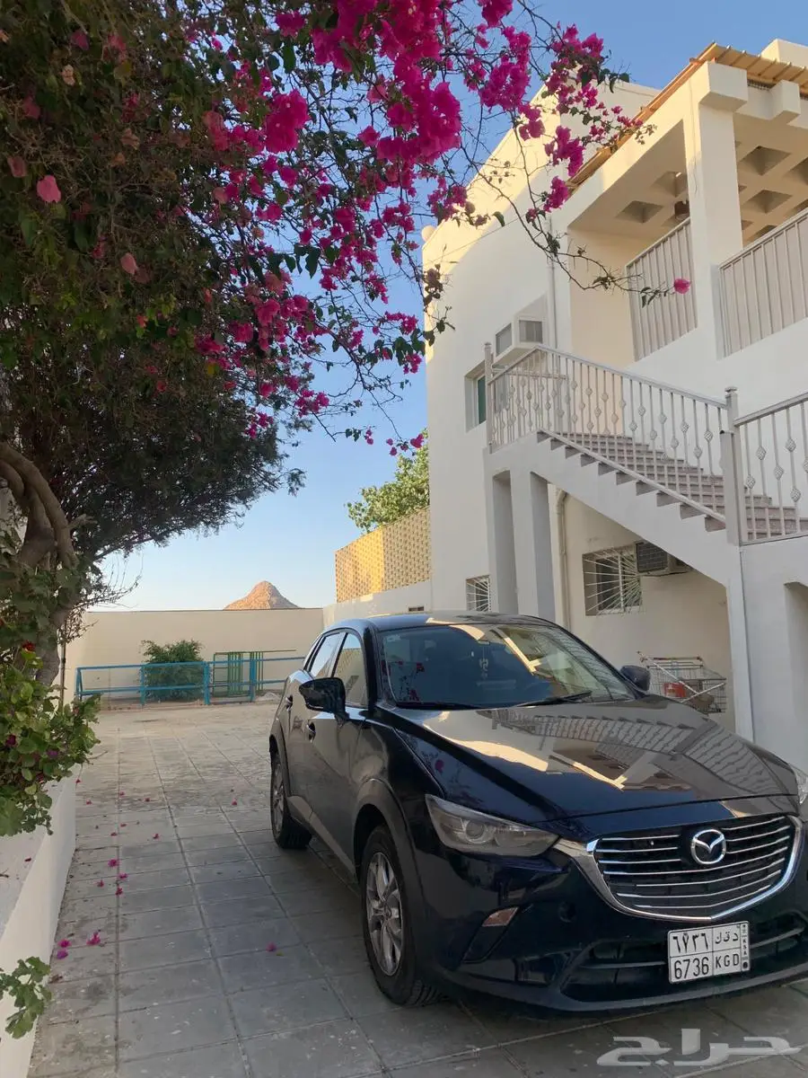 مازده cx3 0