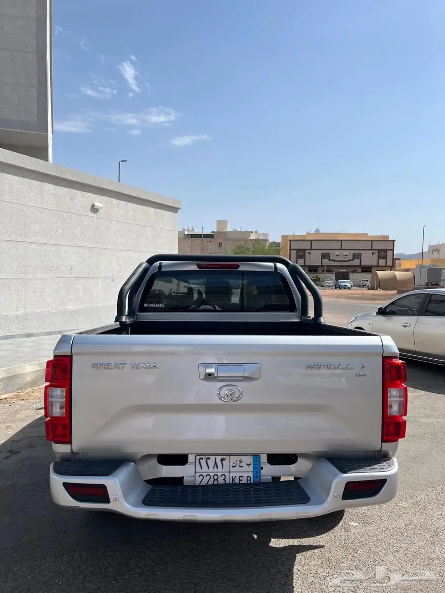 جريت وول ونجل 7 2023 للبيع 3