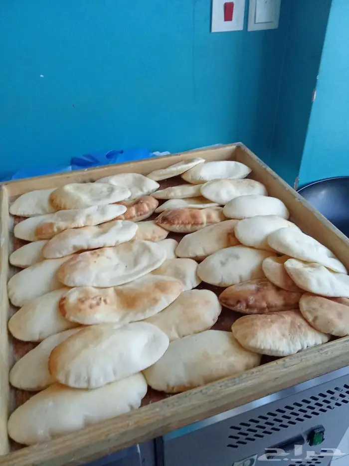 شيف تدريب 13