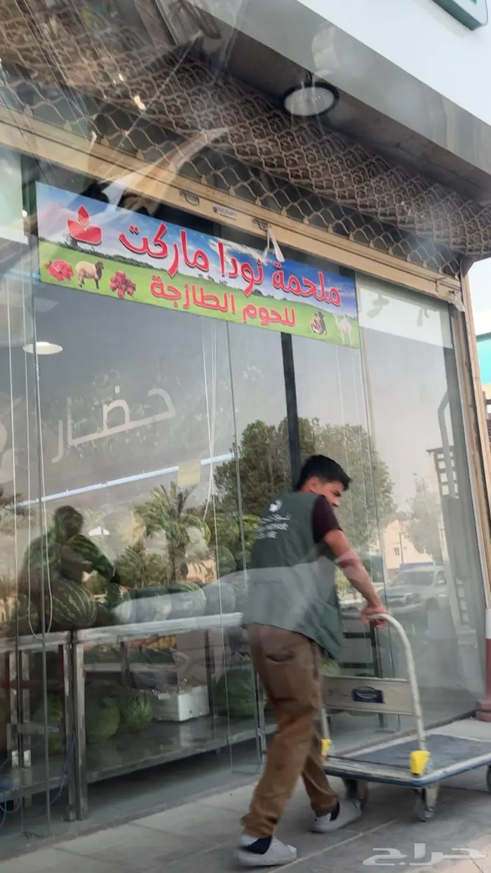 قعود للبيع زواج أو ثلاجة بالربع 0