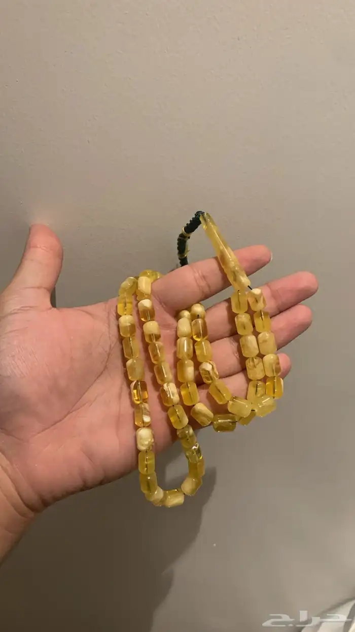 كهرمان بولندي 1
