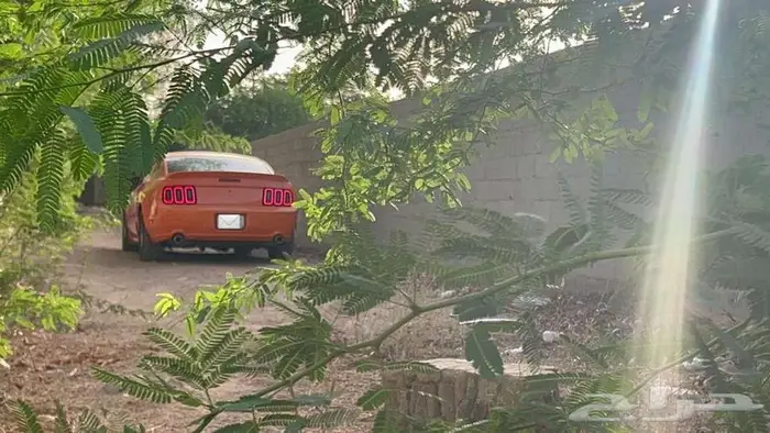 فورد موستنق القير اوتماتيك 3