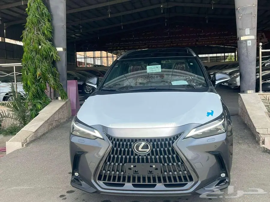 تصفيه NX350 Ch - سعودي اصفار هايبرد فل بانوراما2023 0