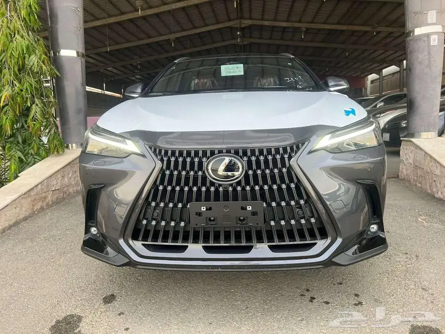 تصفيه NX350 Ch - سعودي اصفار هايبرد فل بانوراما2023 12