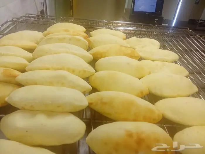 شيف تدريب 5