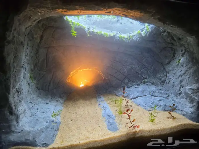 للبيع حوض سمك شغل يدوي 1