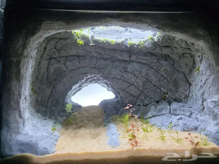 للبيع حوض سمك شغل يدوي 3