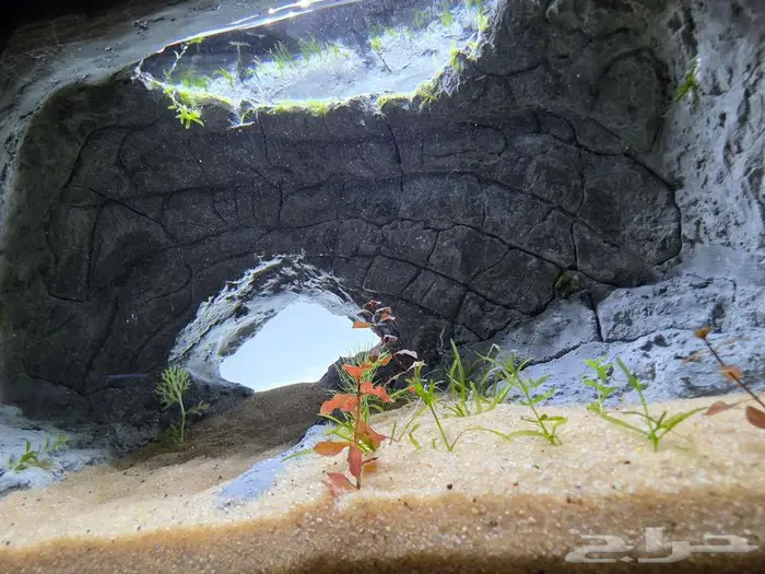 للبيع حوض سمك شغل يدوي 6