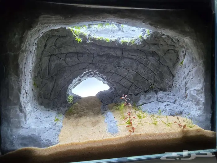 للبيع حوض سمك شغل يدوي 0