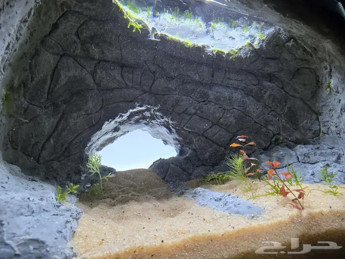 للبيع حوض سمك شغل يدوي 5