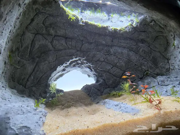 للبيع حوض سمك شغل يدوي 7