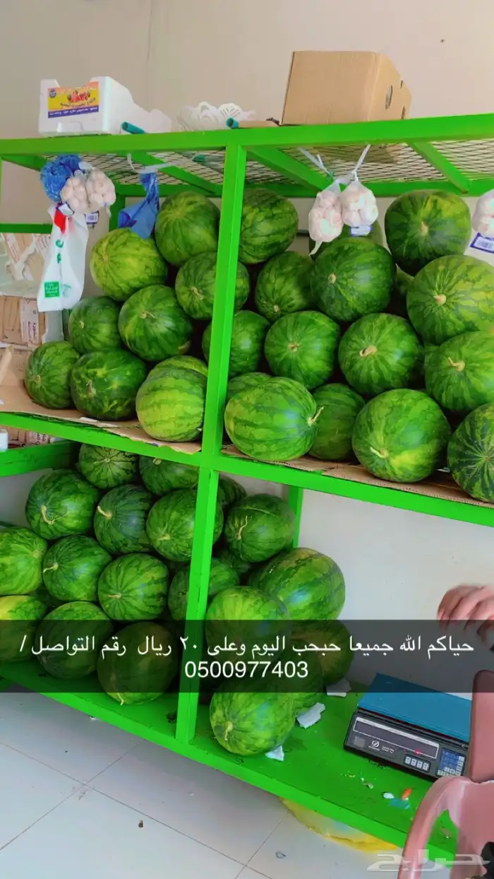 عندي حبحب السعر 20 ريال 0