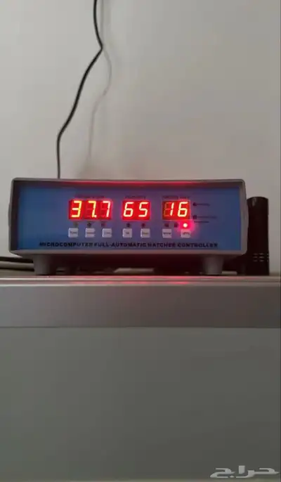 فقاسه عون المربي 1
