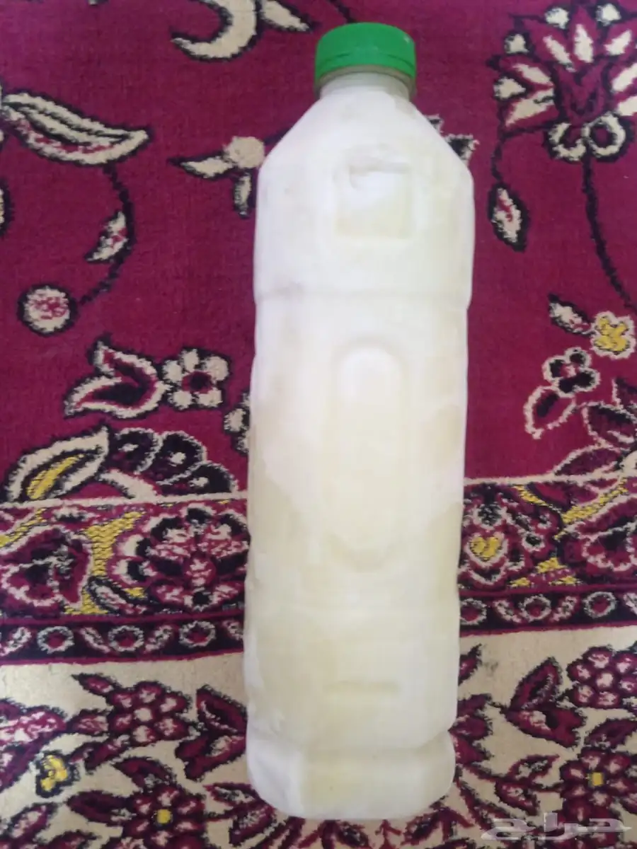 دجاج طازه 9