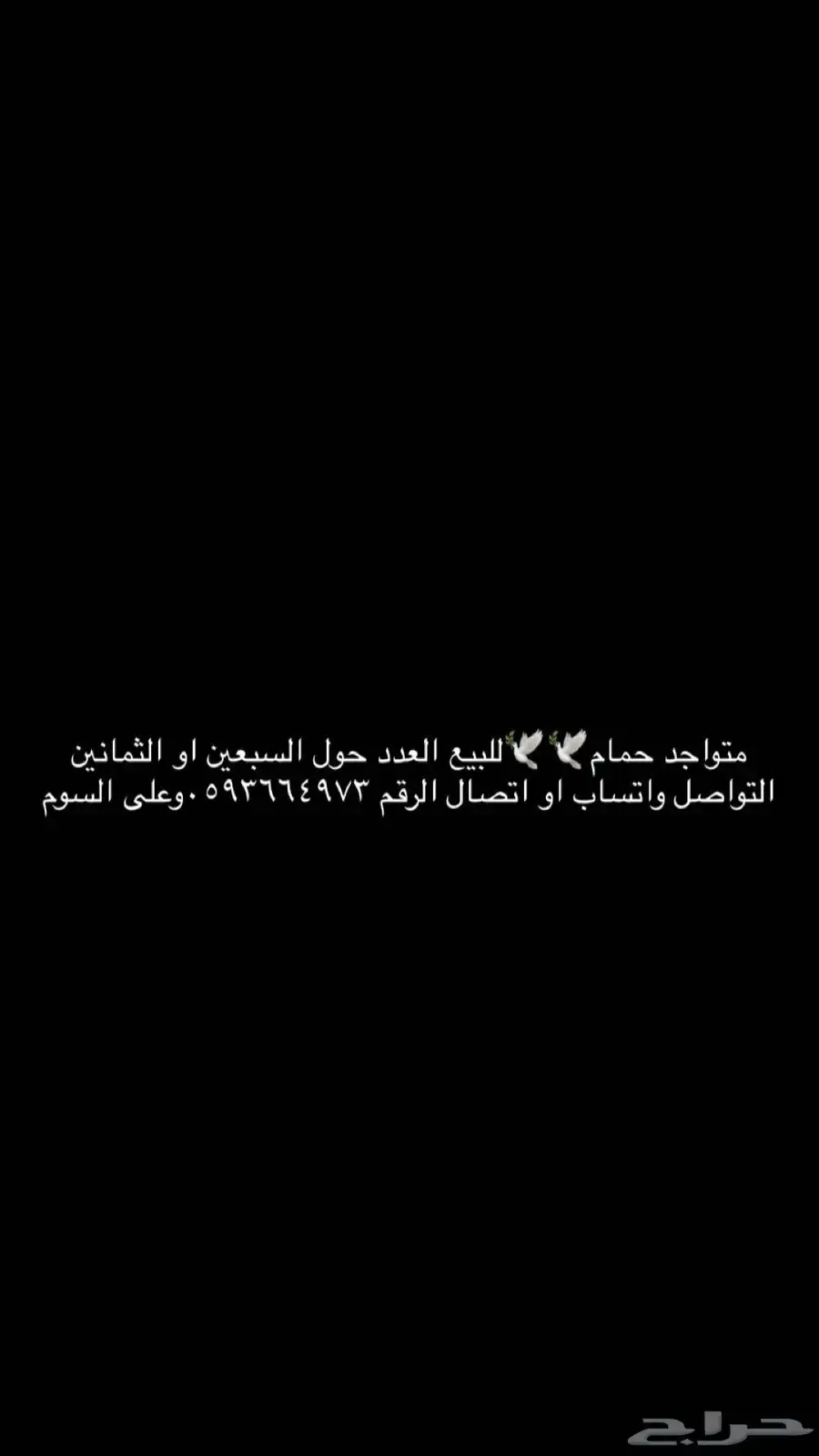 طيور 0