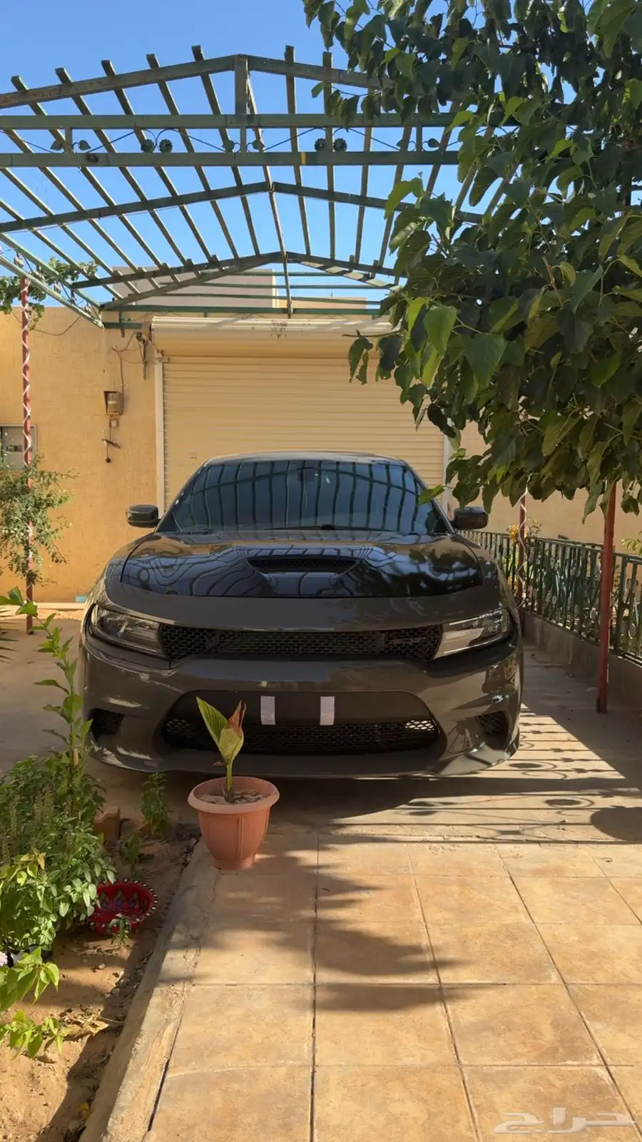 دودج تشارجر R t 6