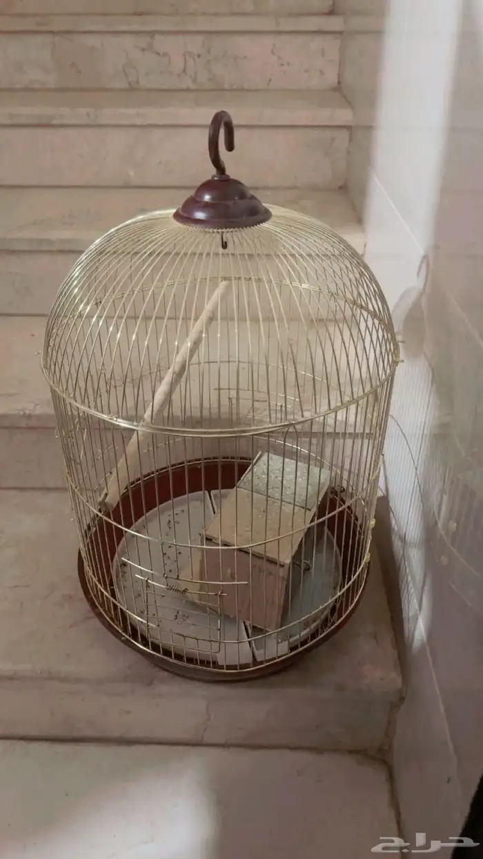 قفص عصافير 0