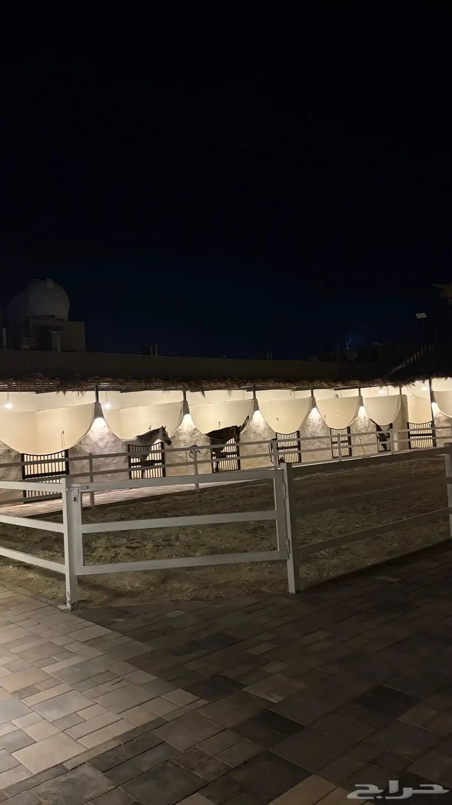 مربط جموح في العماريه اسعار الايواء تبداء من 1300 6