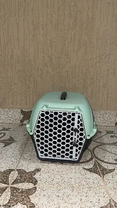 بوكس قطه نضيف 0