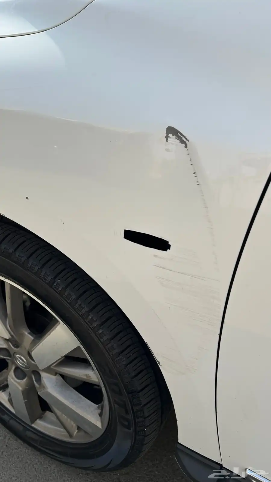 نيسان باثفندر فل كامل للبيع او البدل نظيفه 12