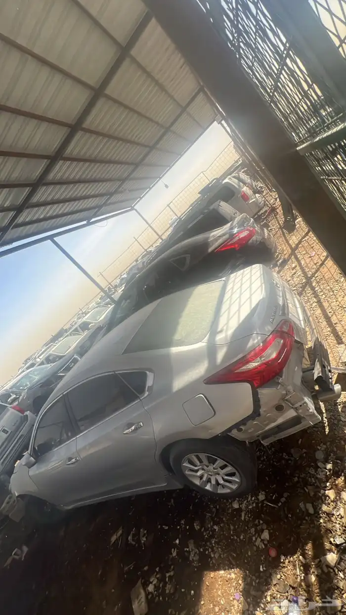 الاالتيماء 7