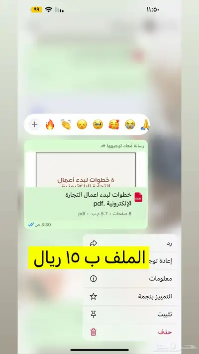 منتجات رقميه مربحه 13