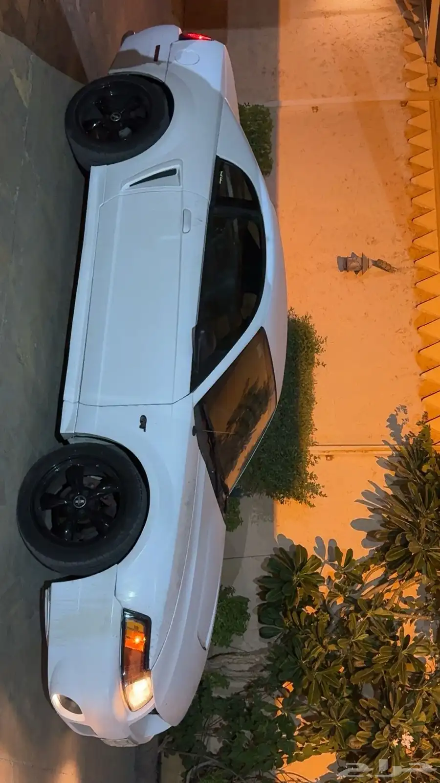 موستنق موديل 2000 كوبرا 3