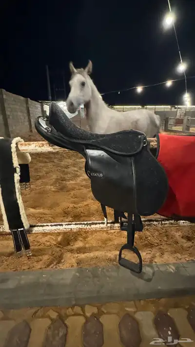 سرج نظيف للبيع 500 0