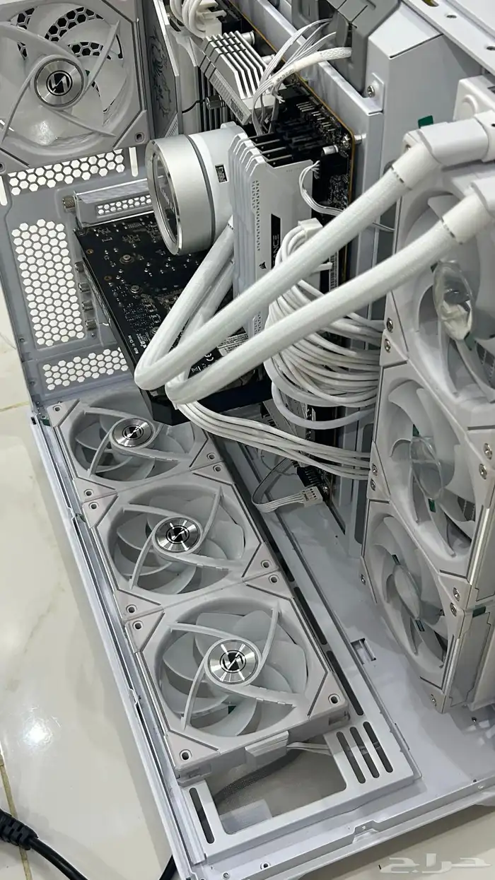 تم البيع والله يبارك لراعيه 0