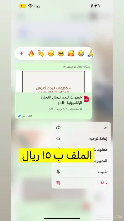 منتجات رقميه مربحه 15