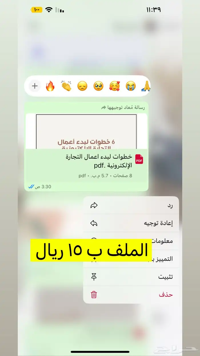 منتجات رقميه مربحه 15