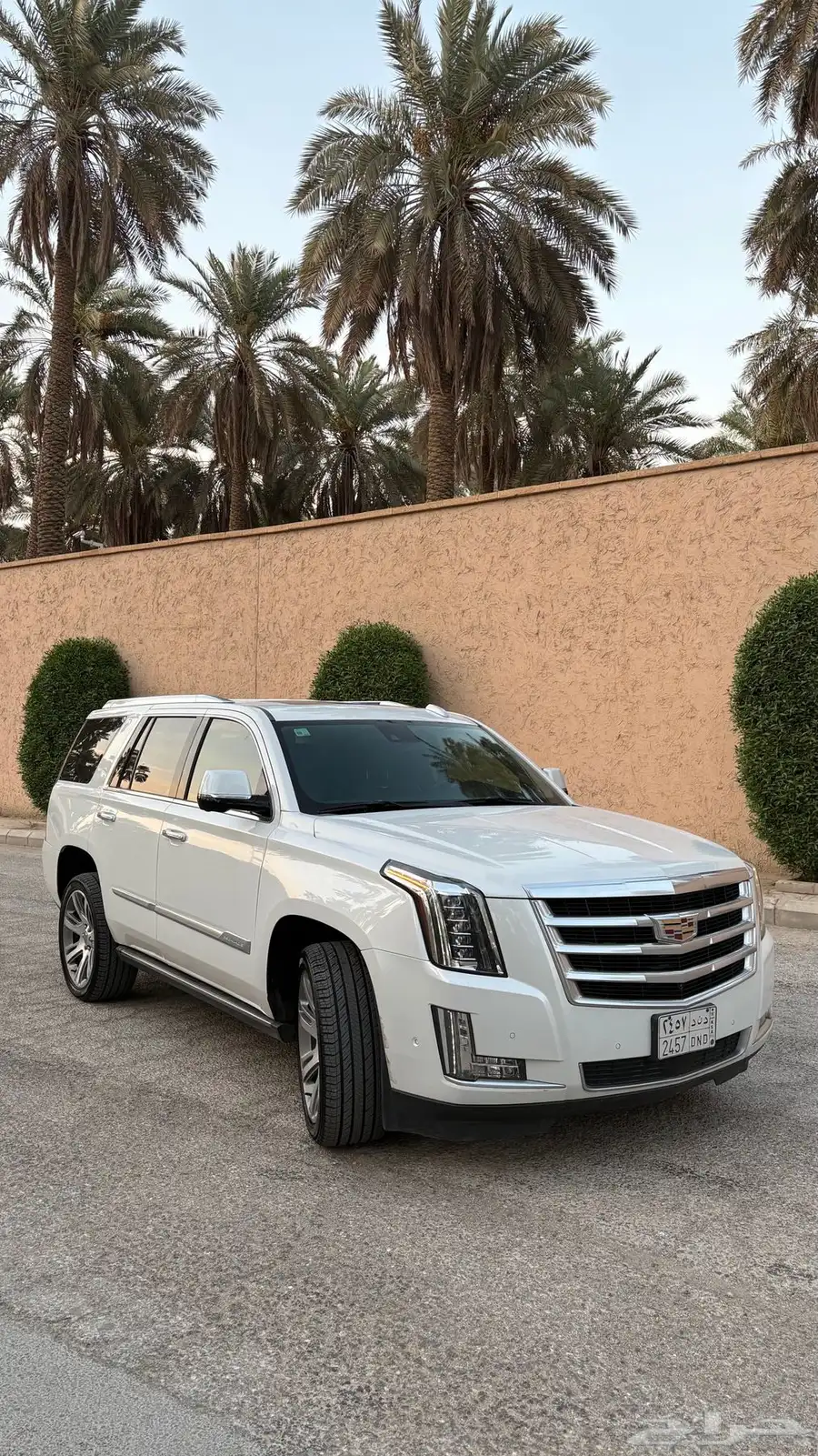 اسكاليد قصير 2020 ممشى قليل 1
