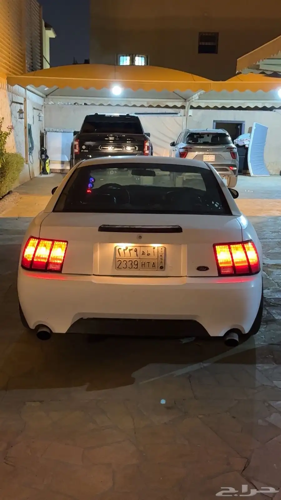 موستنق موديل 2000 كوبرا 2