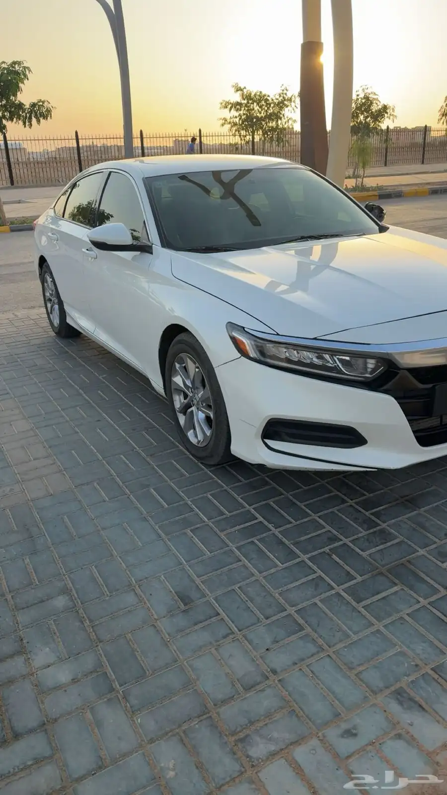كورد 2018 5