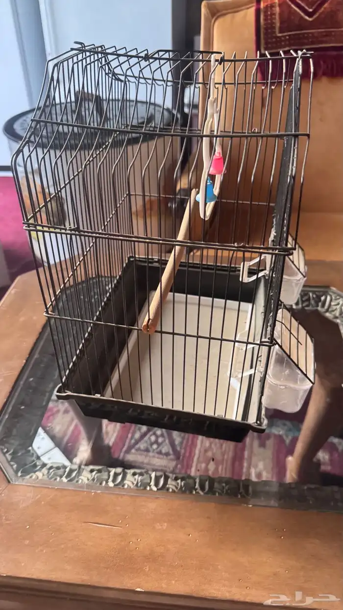 اقفاص طيور 1