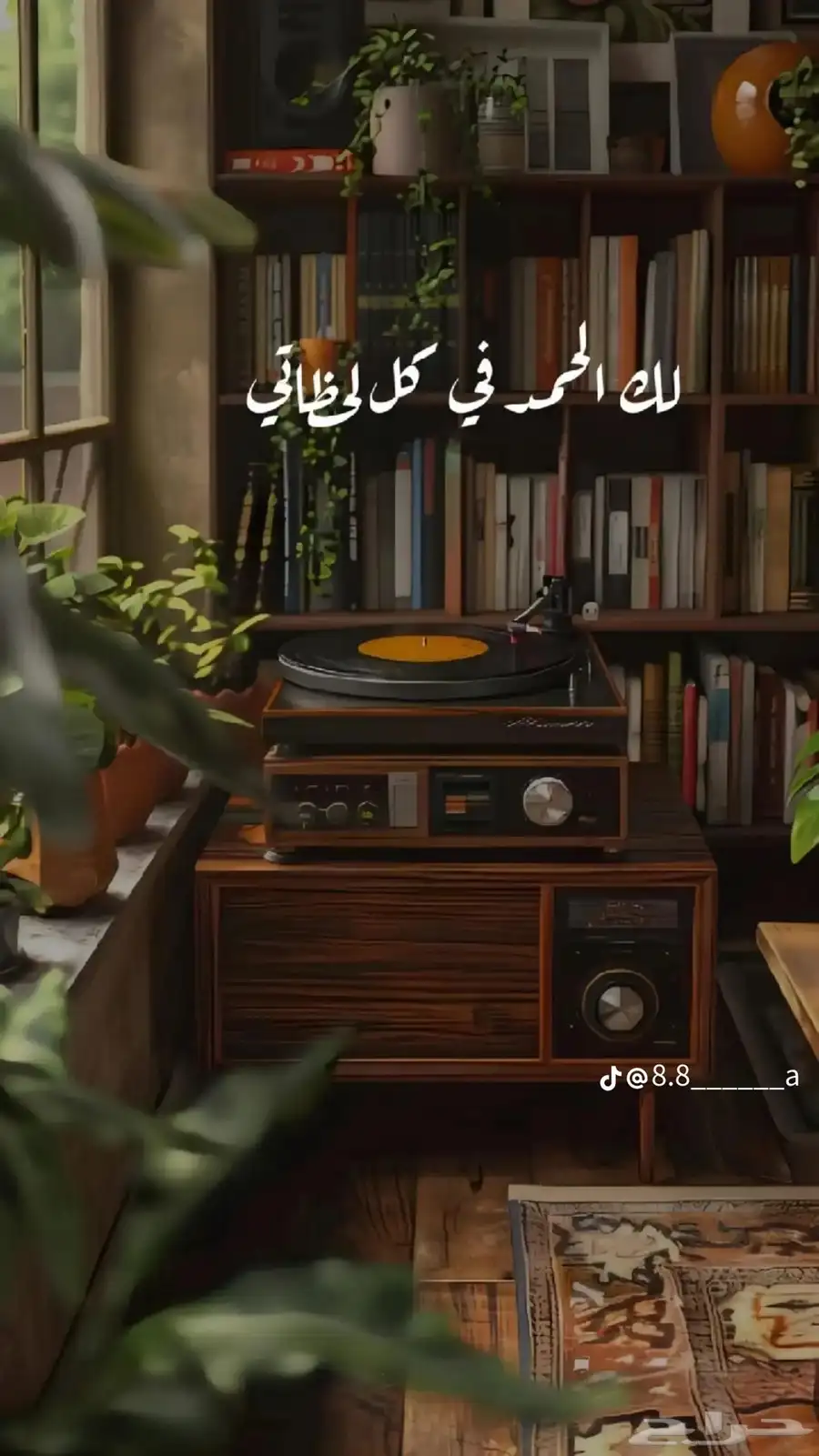 ابحث عن شقه غرفتين او ثلاث ايجار 0