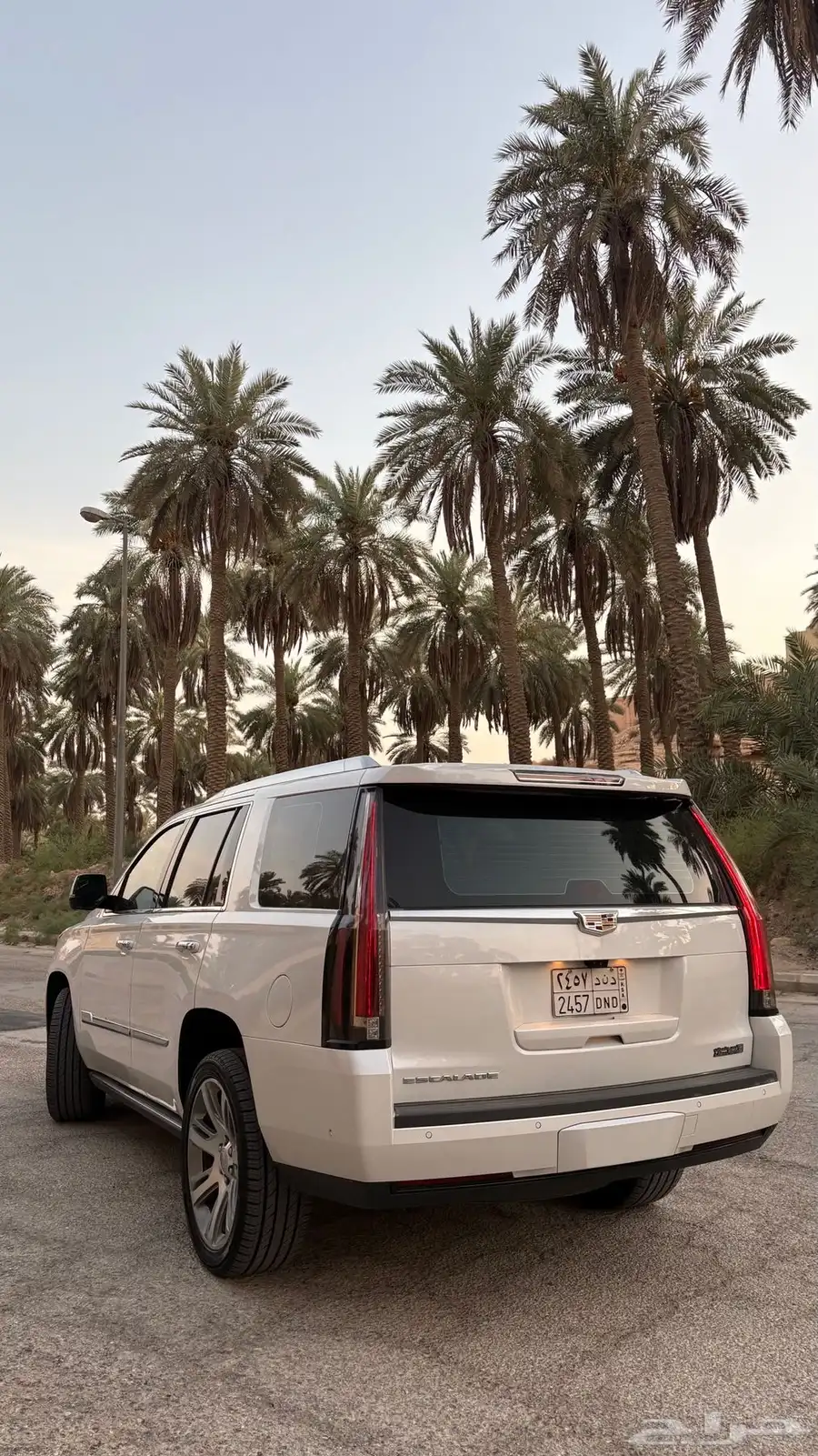 اسكاليد قصير 2020 ممشى قليل 6